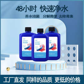鱼缸消毒剂 家庭日用百货中的水族健康卫士